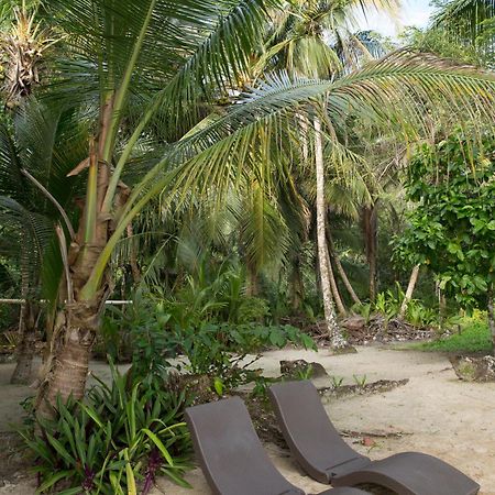 Residencia Natural Bocas del Toro Extérieur photo