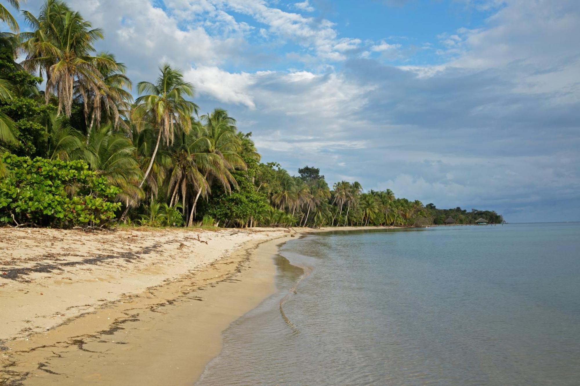 Residencia Natural Bocas del Toro Extérieur photo