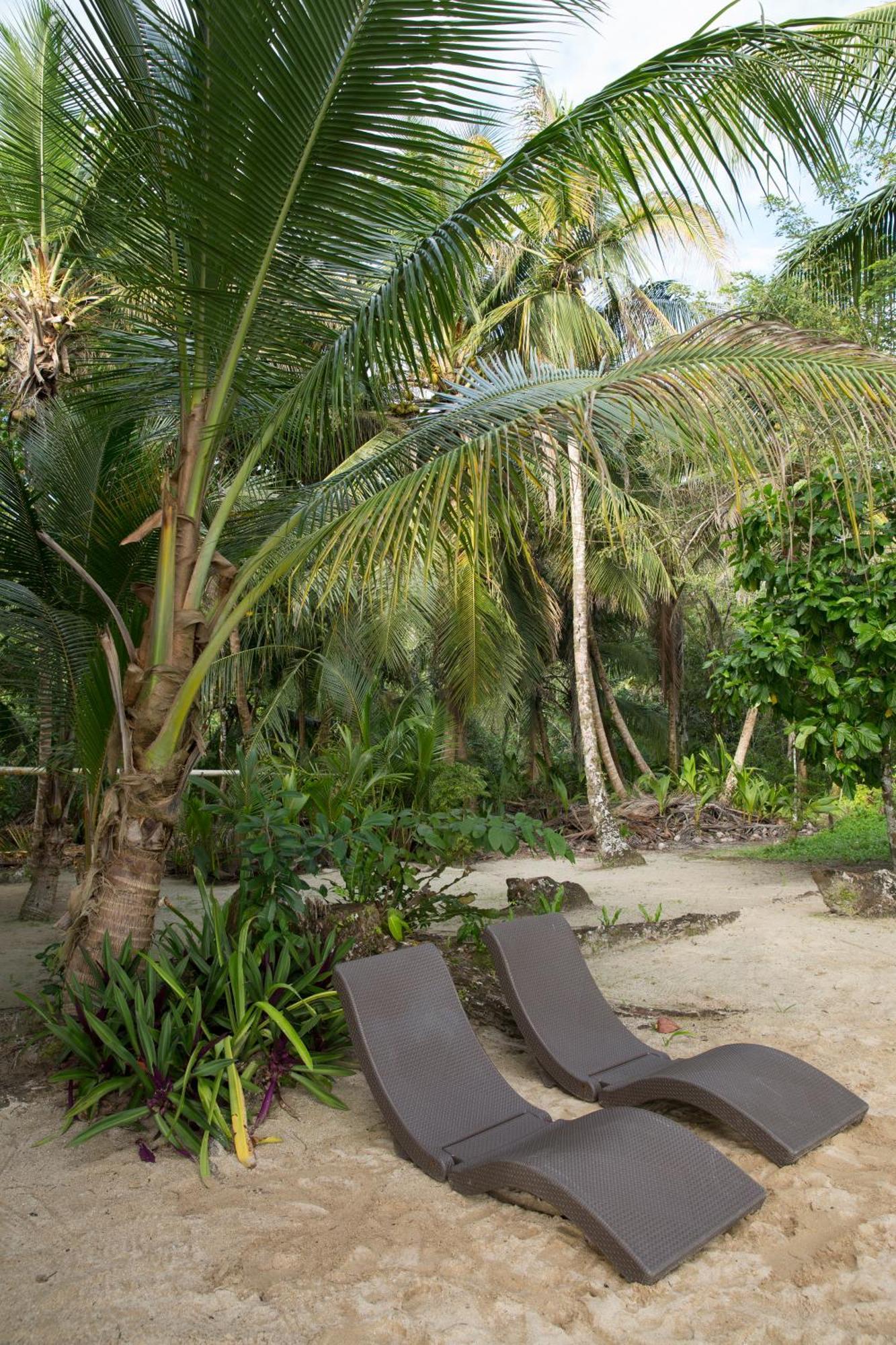 Residencia Natural Bocas del Toro Extérieur photo